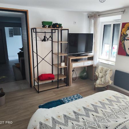 Appartement Renovee Dans Maison Ancienne Amancy Esterno foto