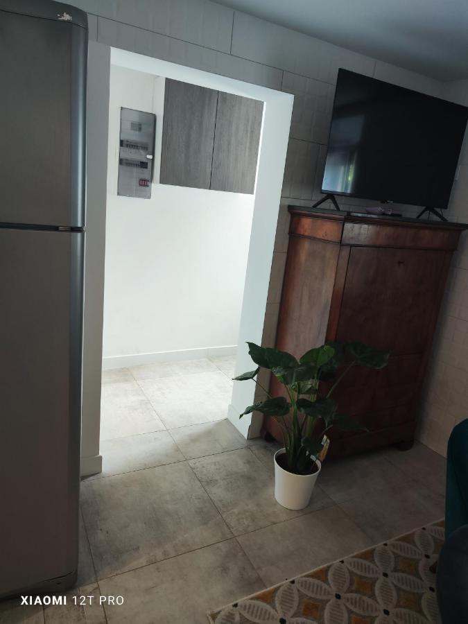 Appartement Renovee Dans Maison Ancienne Amancy Esterno foto
