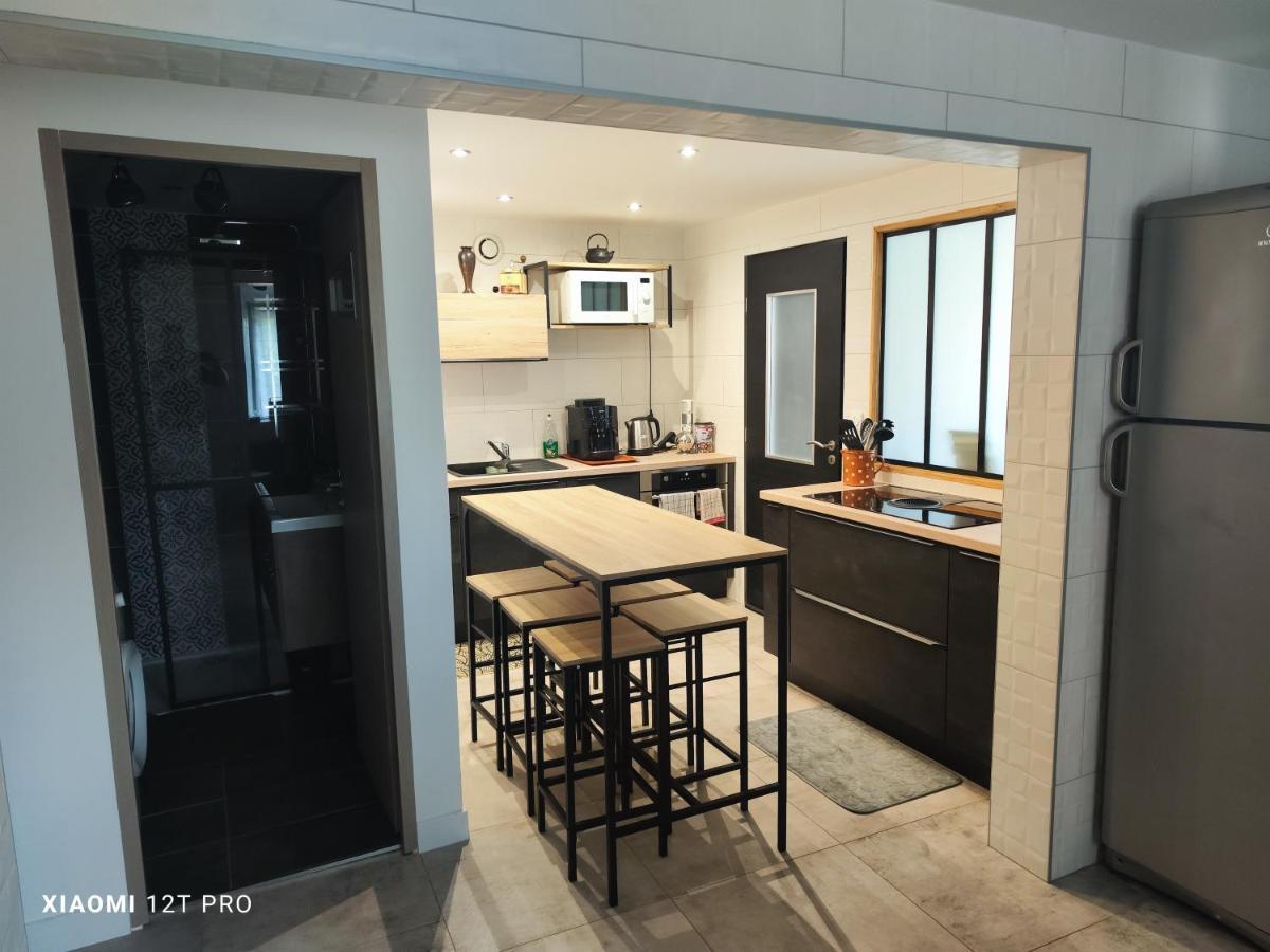 Appartement Renovee Dans Maison Ancienne Amancy Esterno foto